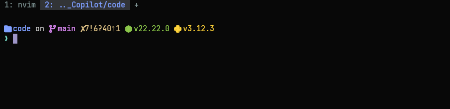 Starship prompt showing active runtimes and git status counts